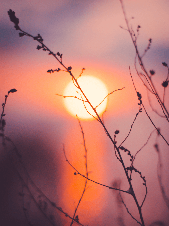 Photo d'un coucher de soleils aux teintes orangées et violettes.